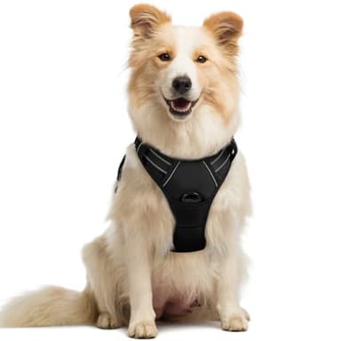 rabbitgoo – Harnais pour chien avec 2 clips pour laisse, gilet rembourré doux réglable, gilet Oxford réfléchissant anti-étranglement pour animaux de compagnie avec poignée de contrôle facile pour