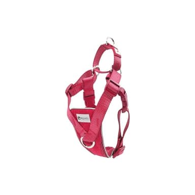 RC Pets Tempo Harnais anti-traction pour chien Noir chiné Taille XS