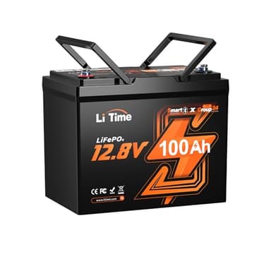 LiTime Batterie LiFePO4 Bluetooth 12 V 100 Ah groupe 24, batterie au lithium à cycle profond, BMS 100 A intégré avec protection basse température, max 15 000 cycles, parfaite pour camping-car, système