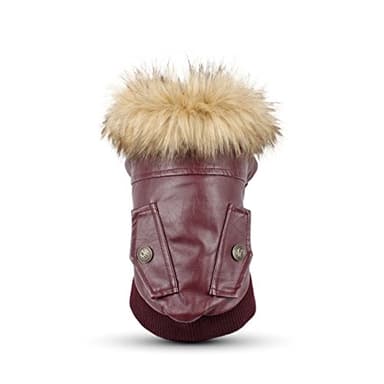 LESYPET Manteau d'hiver imperméable en cuir pour chien de petite et moyenne taille, rouge, taille P