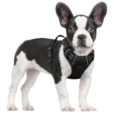 rabbitgoo – Harnais pour chien avec 2 clips pour laisse, gilet rembourré doux réglable, gilet Oxford réfléchissant anti-étranglement pour animaux de compagnie avec poignée de contrôle facile pour