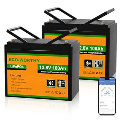 ECO-WORTHY – Lot de 2 batteries au lithium LiFePO4 12 V, 100 Ah intégrées, 100 A, protection basse température BMS, jusqu’à 15 000 cycles de vie profonds, pour autocaravane, marine, usage domestique