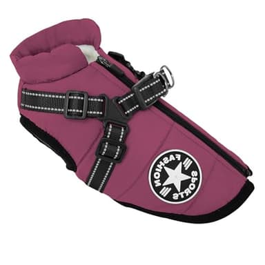 Veste pour petit chien avec harnais, gilet de sport d'extérieur, manteau d'hiver chaud pour chats et chiots