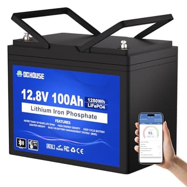 DC HOUSE Batterie au lithium LiFePO4 12 V 100 Ah, Bluetooth et protection basse température, batterie au lithium groupe 31, jusqu'à 15 000 cycles, BMS 100 A, parfaite pour moteurs à la traîne, marine,