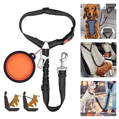 Ceinture de sécurité pour chien - Harnais pour voiture - Accessoires pour petits chiens - Laisse courte élastique rétractable - 1 + 1