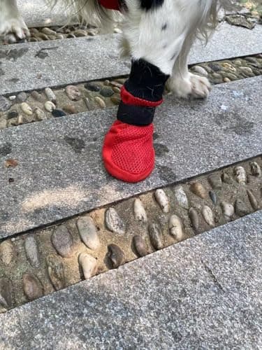 LONSUNEER Lot de 4 bottes protectrices pour chien avec semelle souple respirante et antidérapante en 5 tailles (taille XL, rouge)