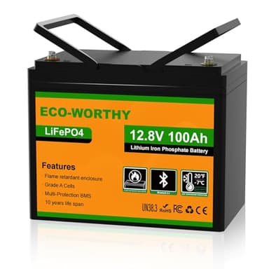 ECO-WORTHY Batterie au lithium LiFePO4 12 V 100 Ah, Bluetooth et protection basse température, groupe 24 avec BMS 100 A, jusqu'à 15 000 cycles profonds pour moteur à la traîne, camping-car, camping, hors réseau (chargeur 10 A gratuit)